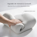 Conjunto Ergonômico Premium 2 em 1: Alívio Imediato para Dores nas Costas